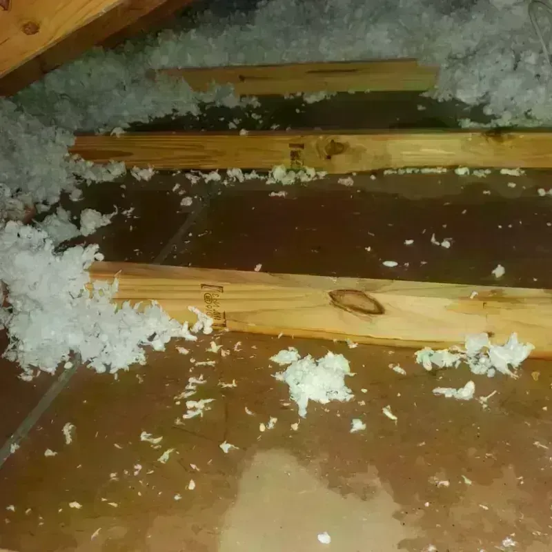 Attic Water Damage in Elm Creek, TX